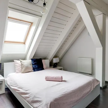 Spacious Stylish Attic In The Heart Of The Center - Karlovo * Praga