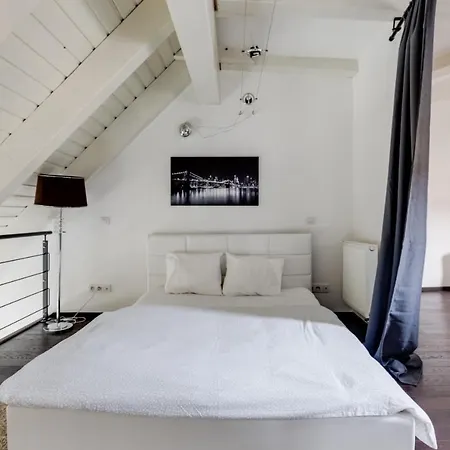 Spacious Stylish Attic In The Heart Of The Center - Karlovo Apartamento *