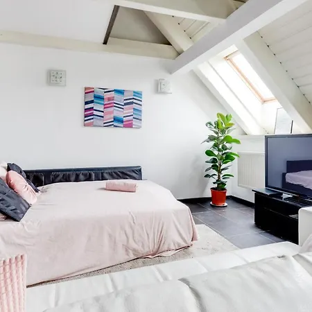 Spacious Stylish Attic In The Heart Of The Center - Karlovo Apartamento